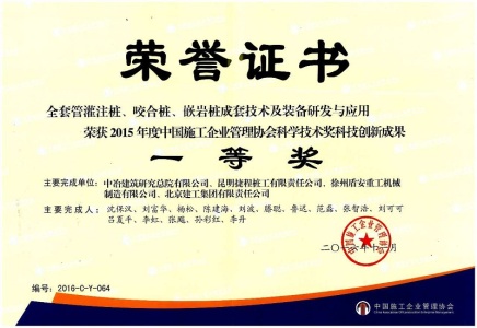 中国施工企业管理协会科学技术奖科技创新成...(1)