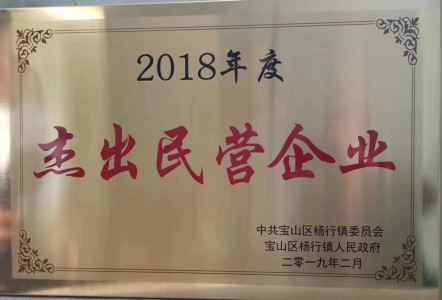 2018年度-杨行镇-杰出民营企业