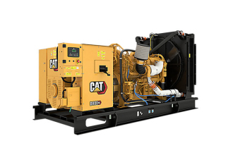 卡特彼勒 CAT®D800 GC 柴油发电机组高清图 - 外观